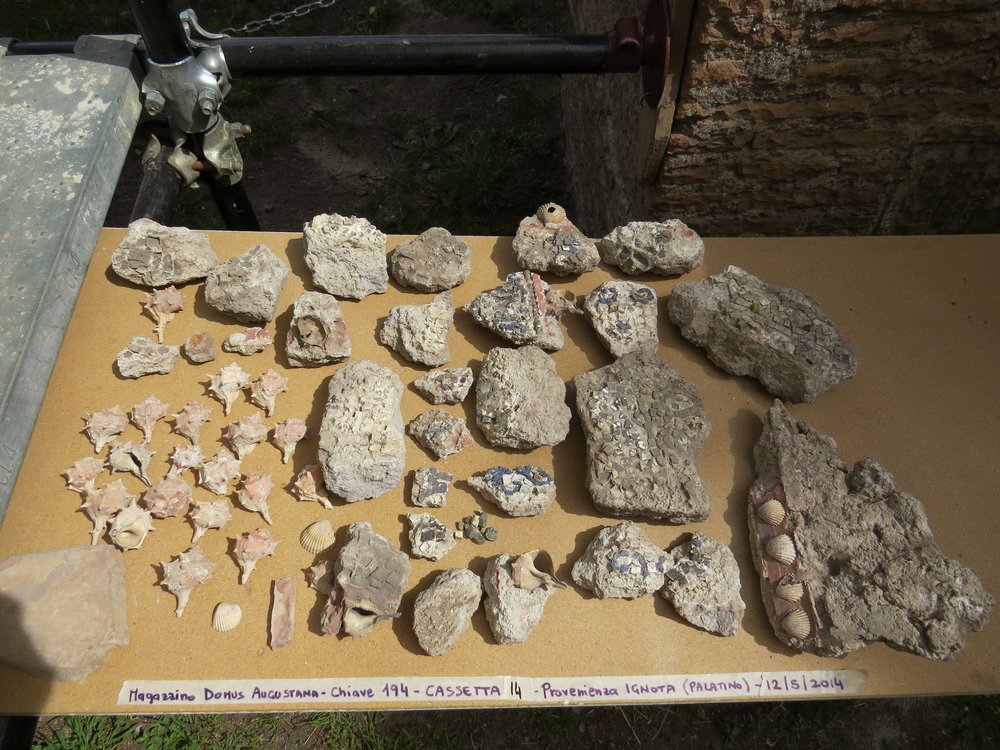 Provenienza Ignota (Palatino) 14.jpg