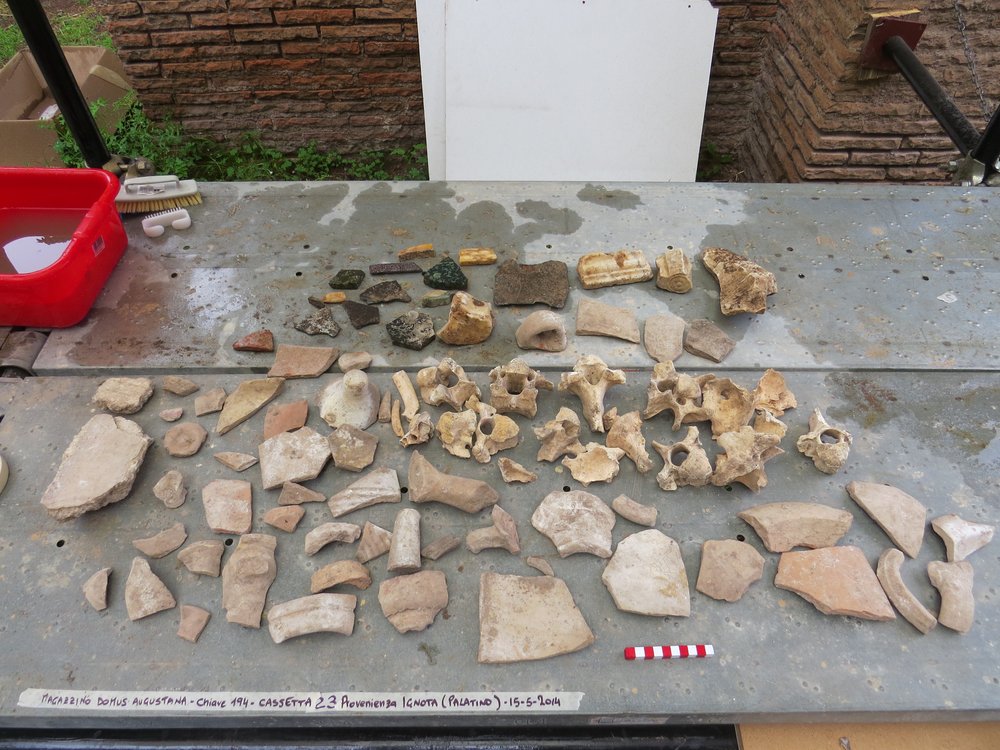 Provenienza Ignota (Palatino) 23.jpg