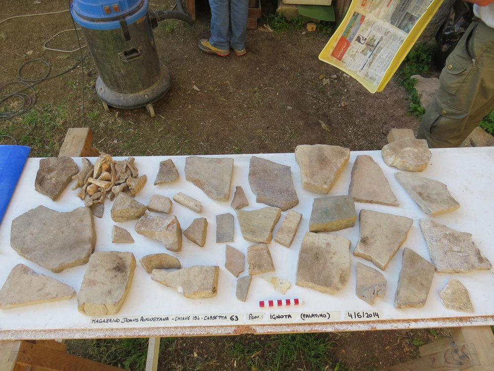Provenienza Ignota (Palatino) 63.jpg