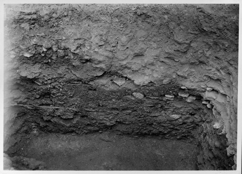 018419 - scavo archeologico - Tempio di Venere e Roma, cella occidentale, durante lo scavo; neg. serie F, n. 1319