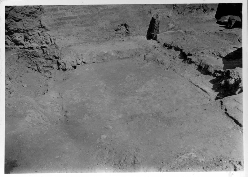 018420 - scavo archeologico - Tempio di Venere e Roma, cella occidentale, durante lo scavo; neg. serie F, n. 1321