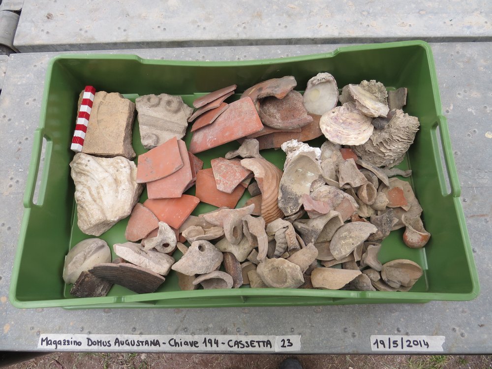 Schola Praeconum 23.jpg