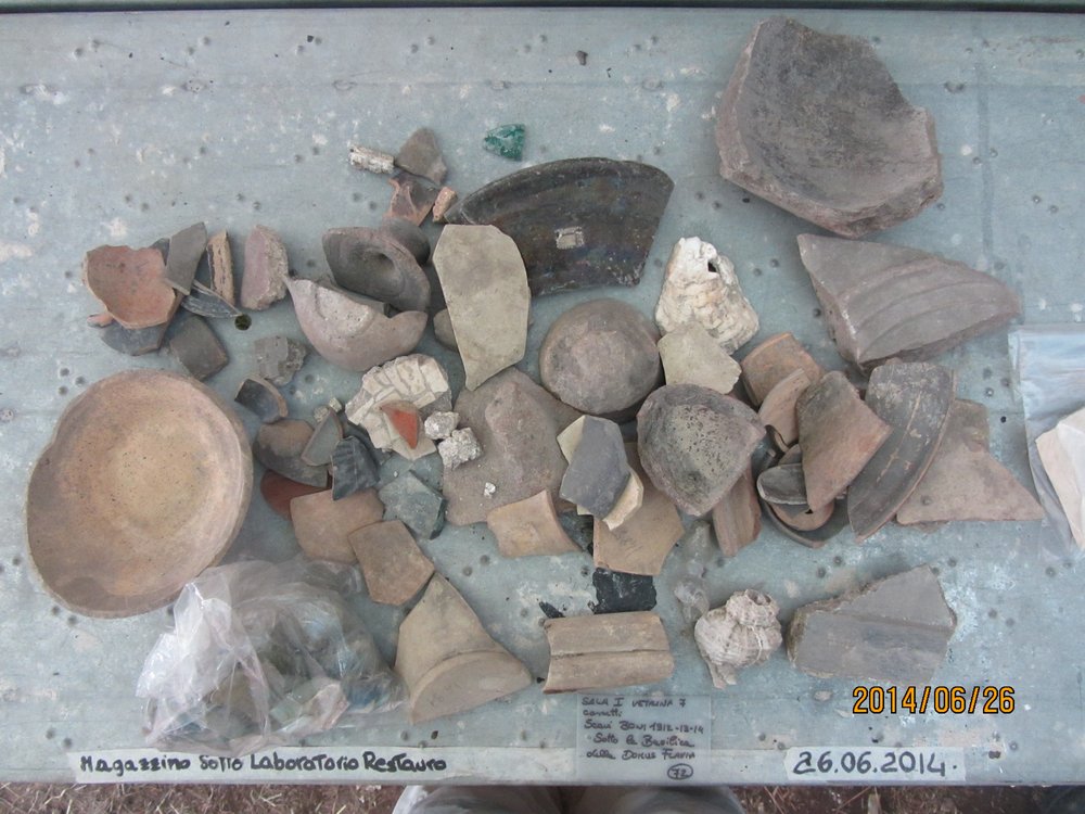 Domus Flavia (57).JPG