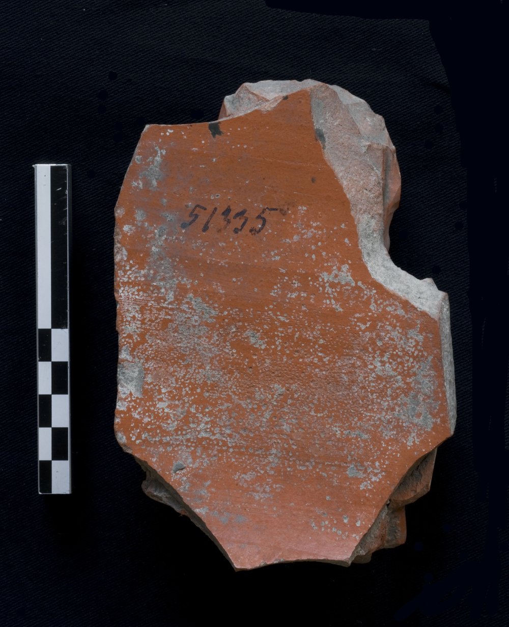 51335b.jpg