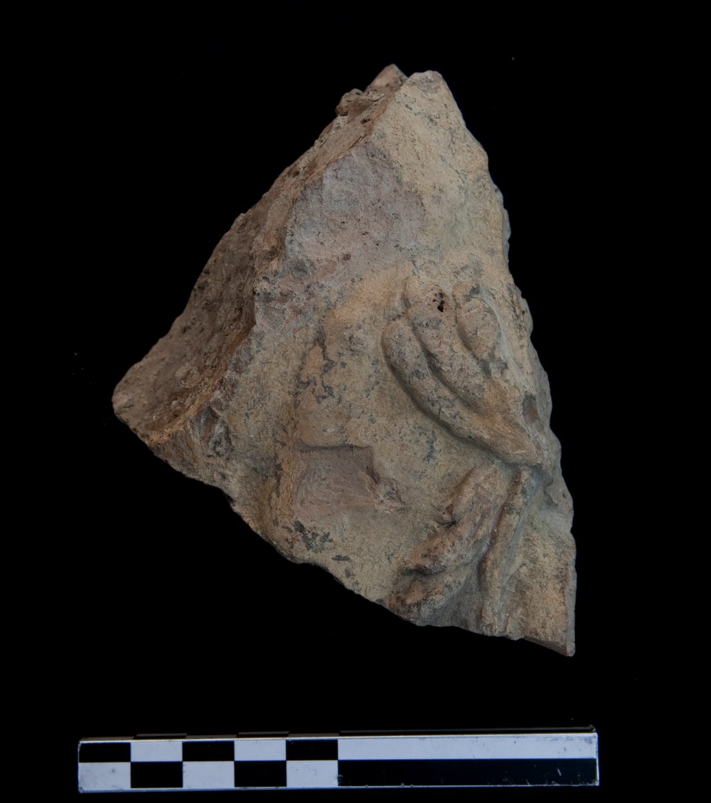 Inv.574598.TIF