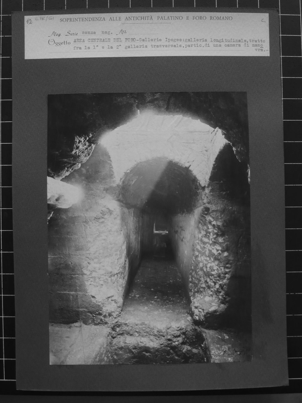 s.neg_P1030959.JPG