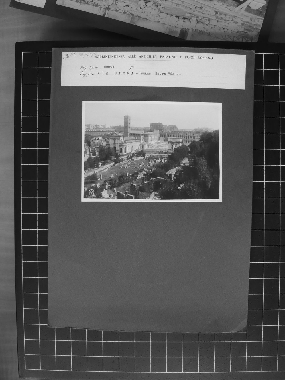 s.neg_P1040722.JPG
