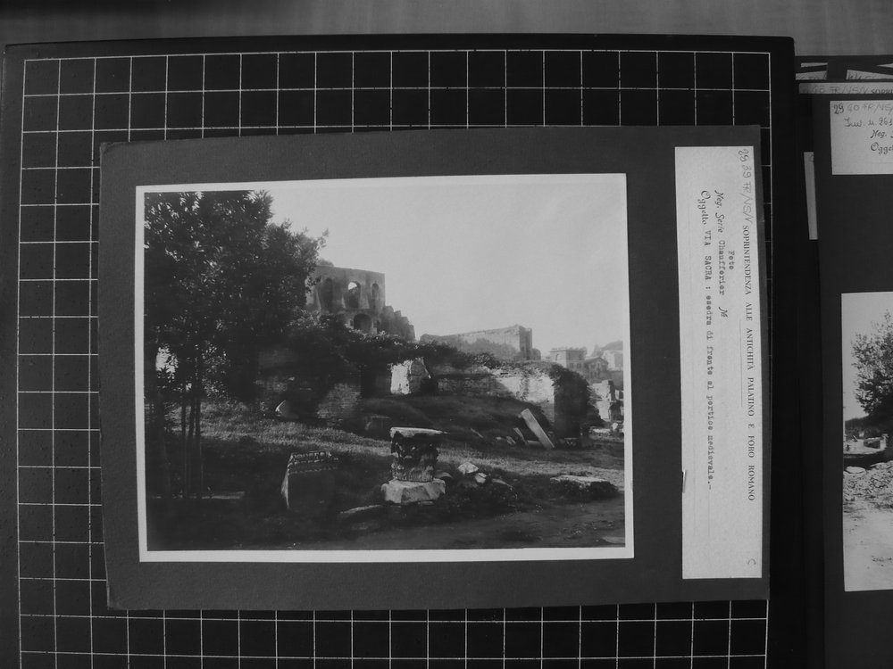 s.neg_P1040708.JPG