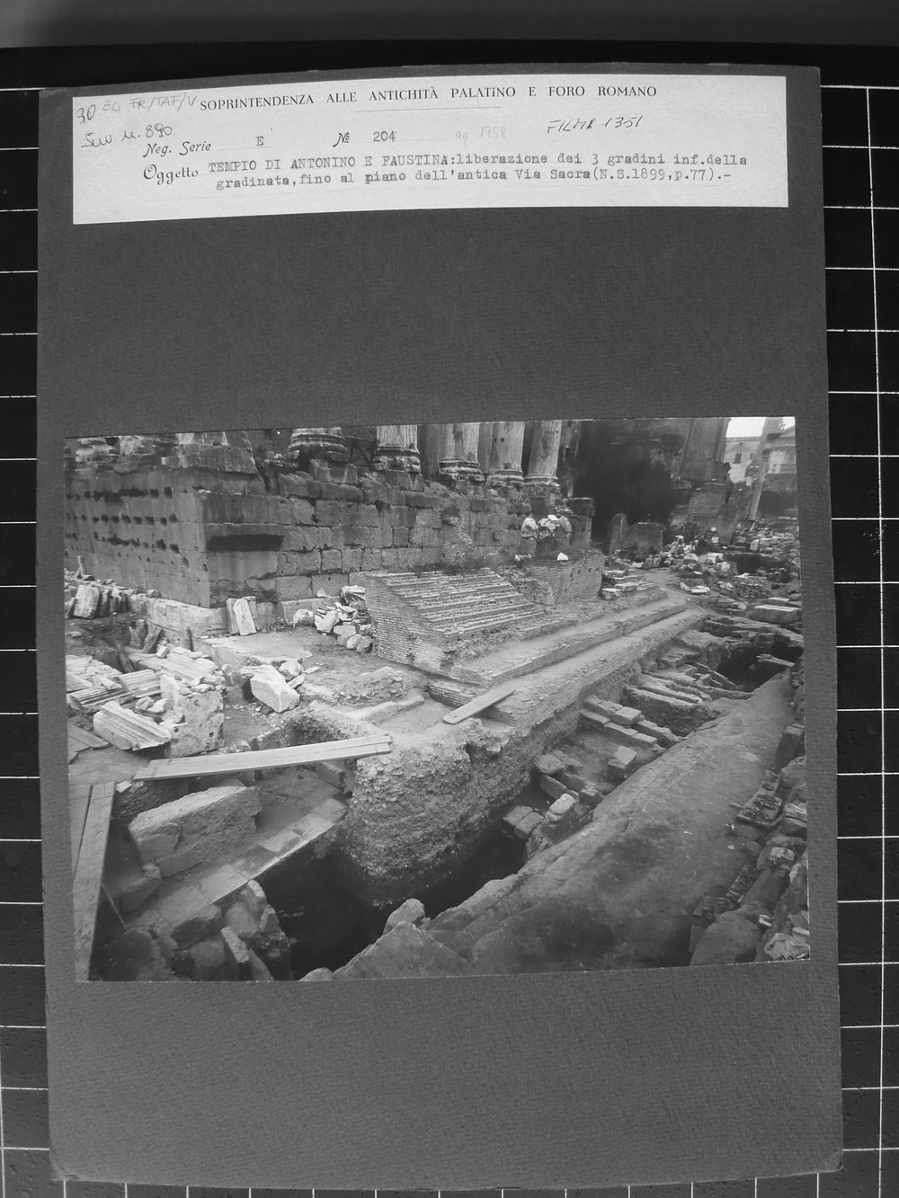 E_204.JPG