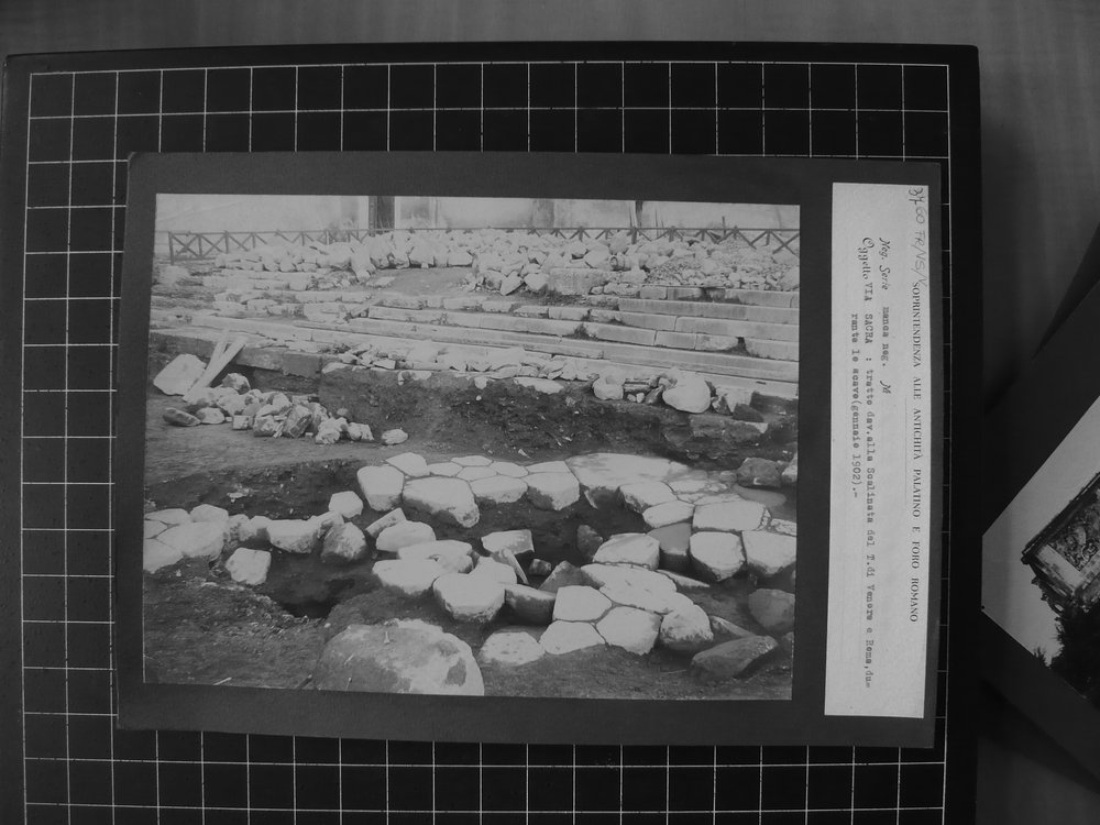 s.neg_P1040723.JPG