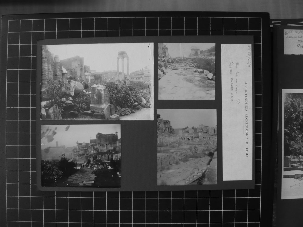 s.neg_P1040705.JPG