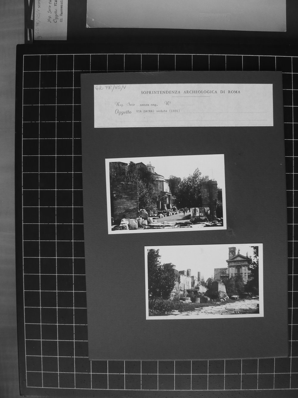s.neg_P1040711.JPG