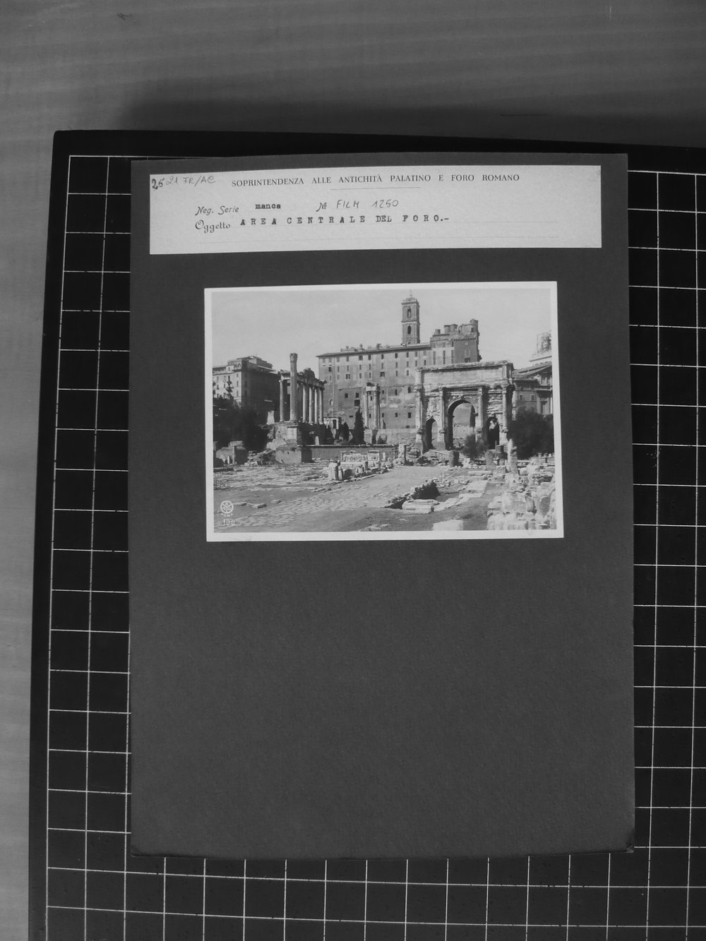 s.neg_P1040663.JPG