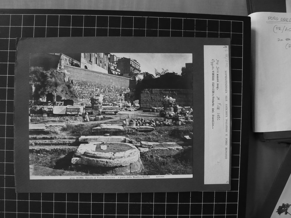 s.neg_P1040641.JPG