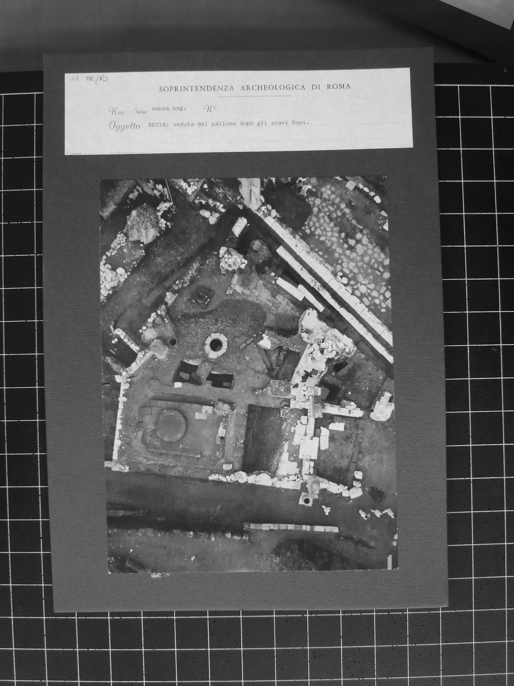 s.neg_P1040982.JPG