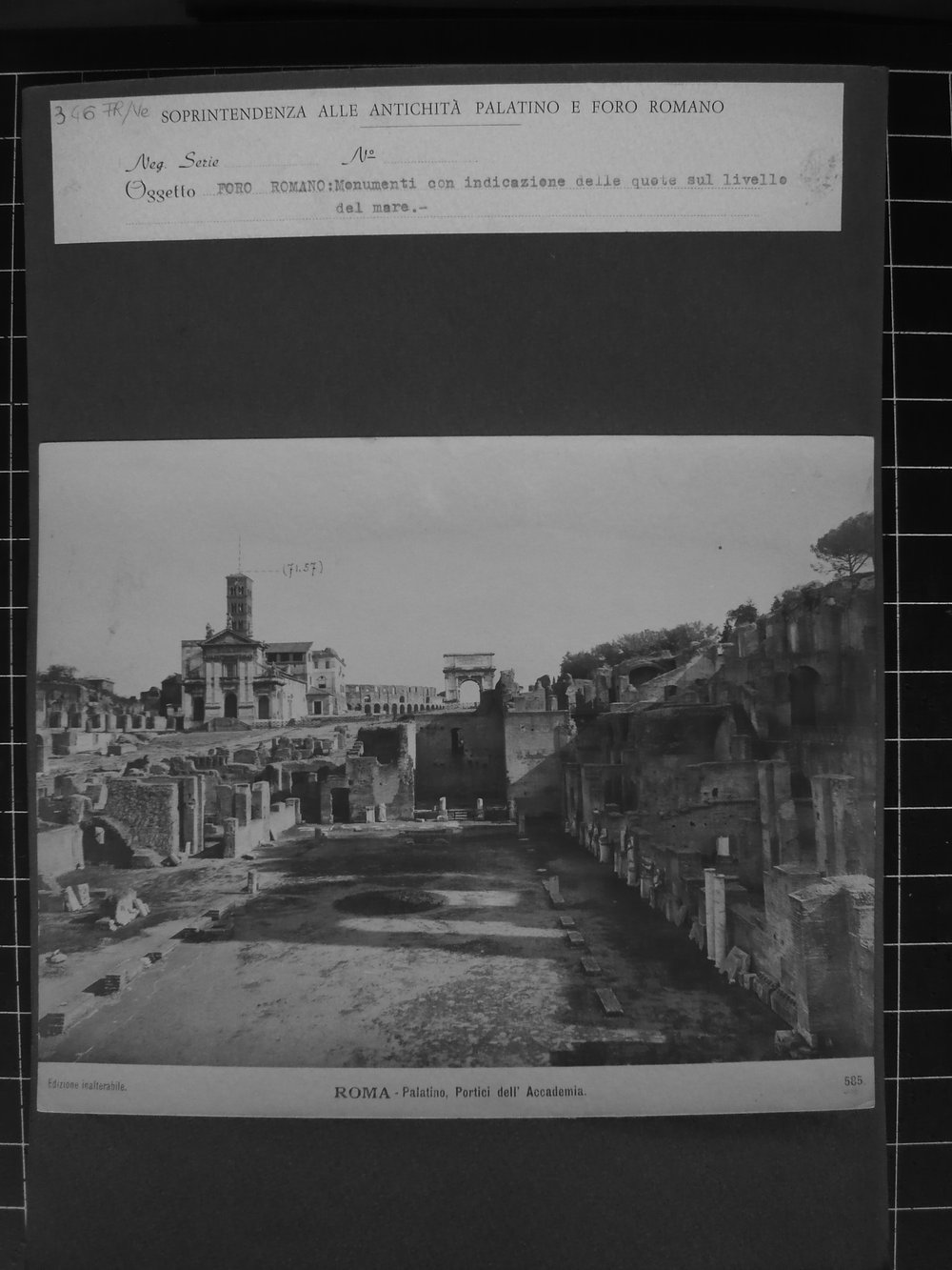 s.neg_P1040919.JPG