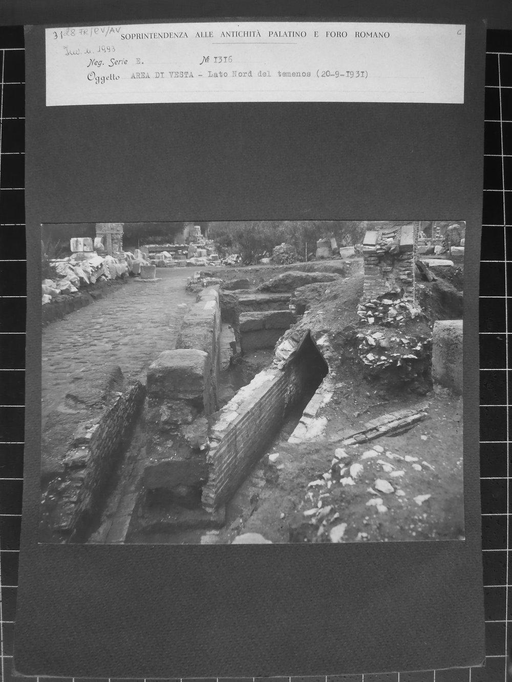 E_1316.JPG