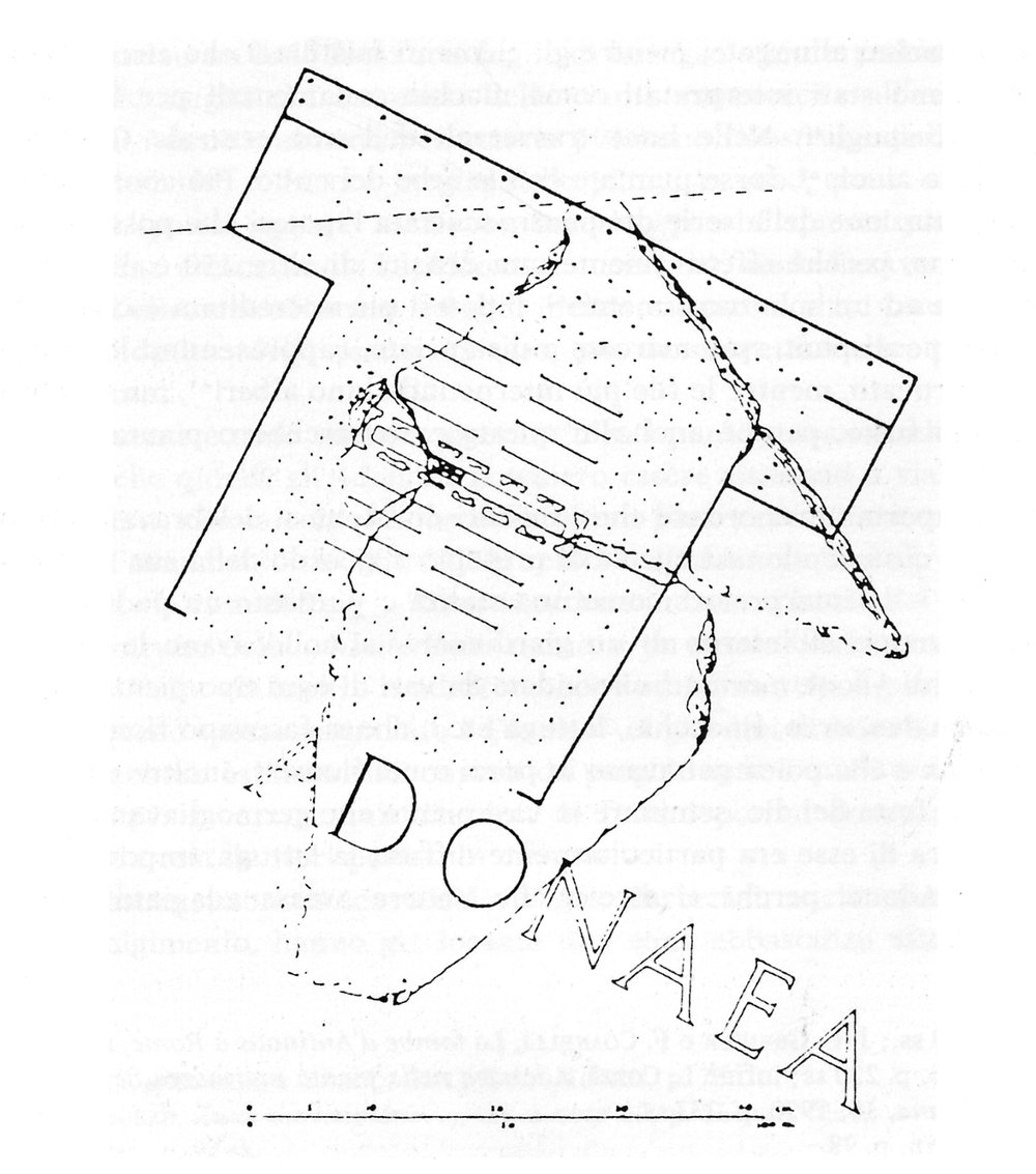 Ipotesi ricostruttiva degli Adonaea.tif