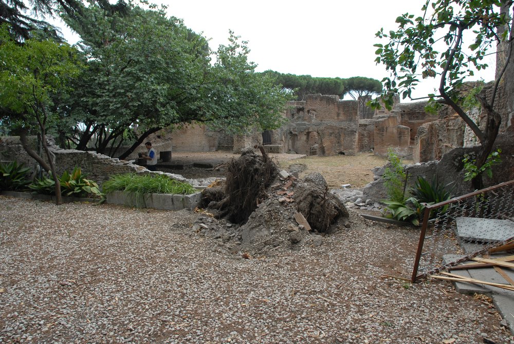 DSC_0067.JPG