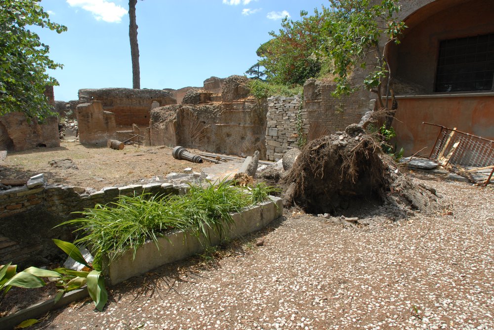 DSC_0061.JPG