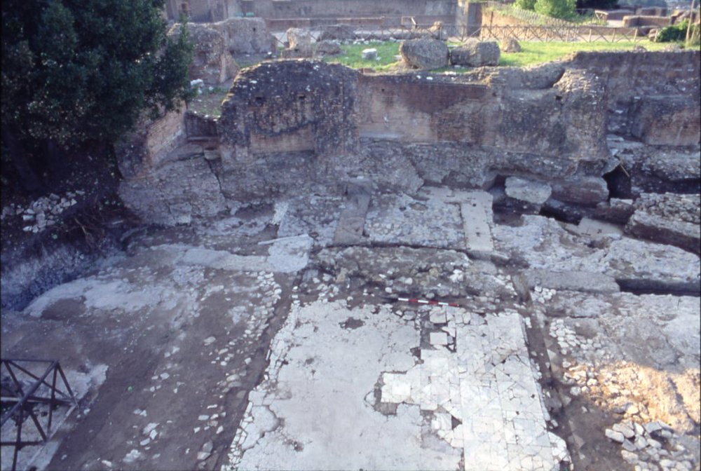 DT065.jpg