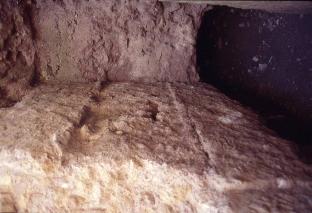 DT061.jpg
