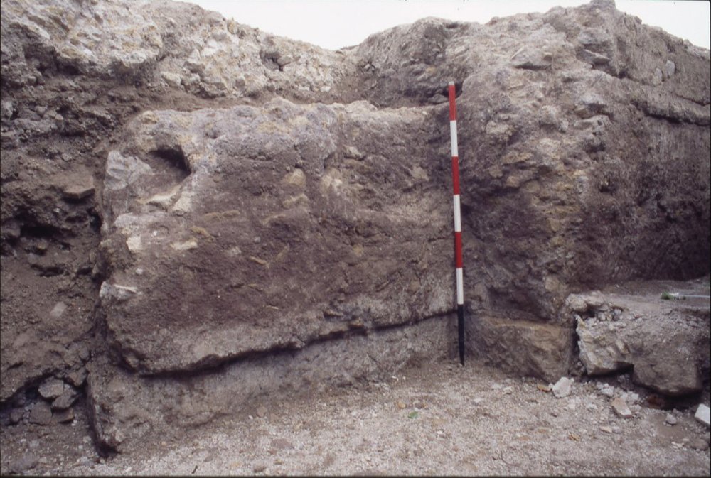 DT098.jpg