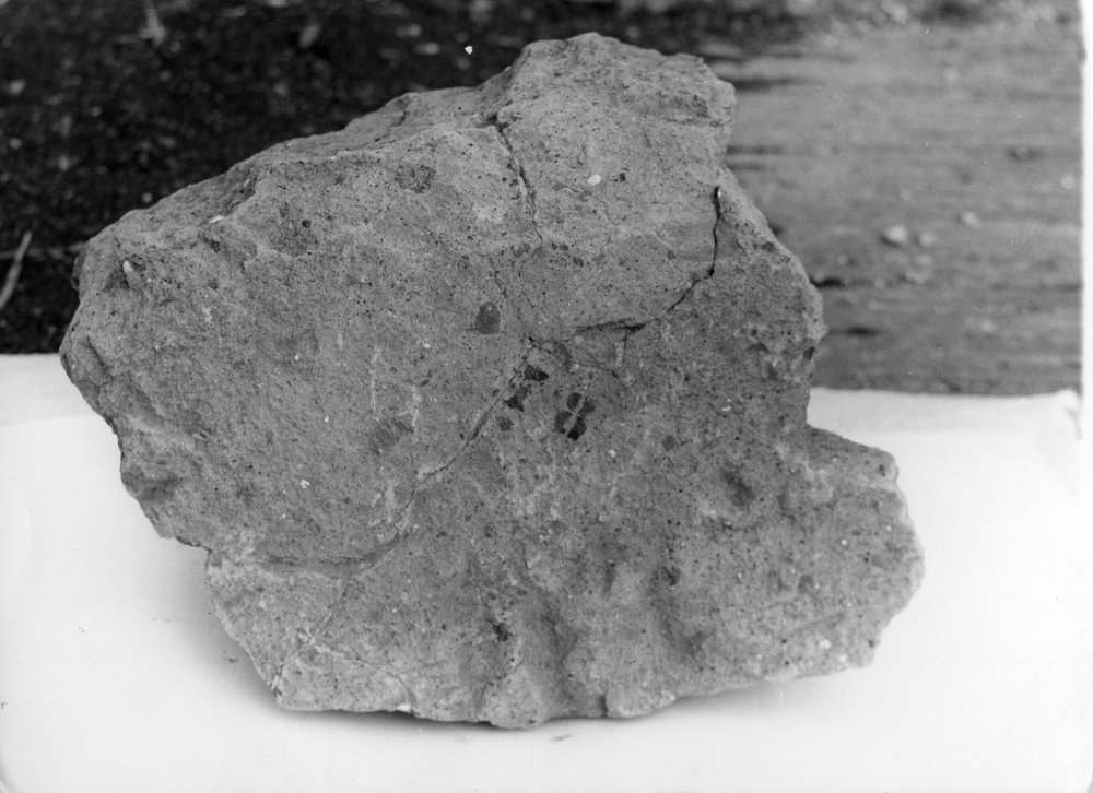 39130.tif