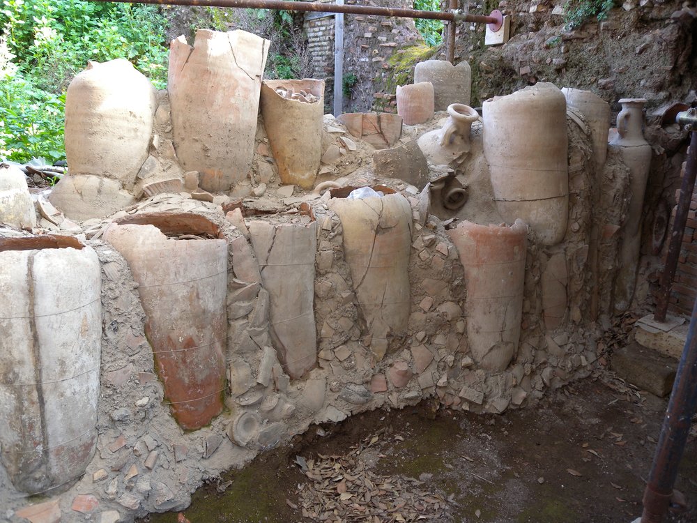 DSCN0148.JPG