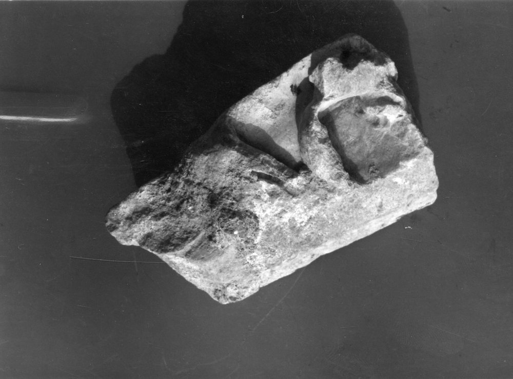01228593.jpg