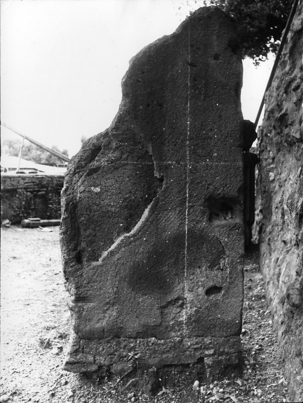 196 - 39050.tif
