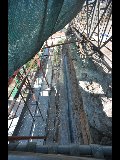 DSC_0750.NEF