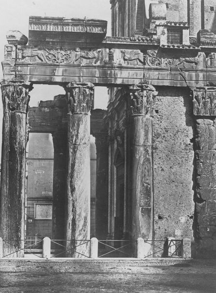 019837 - monumento - Tempio di Antonino e Faustina, veduta del angolo orientale del colonnato (particolare); Museo di Roma, V