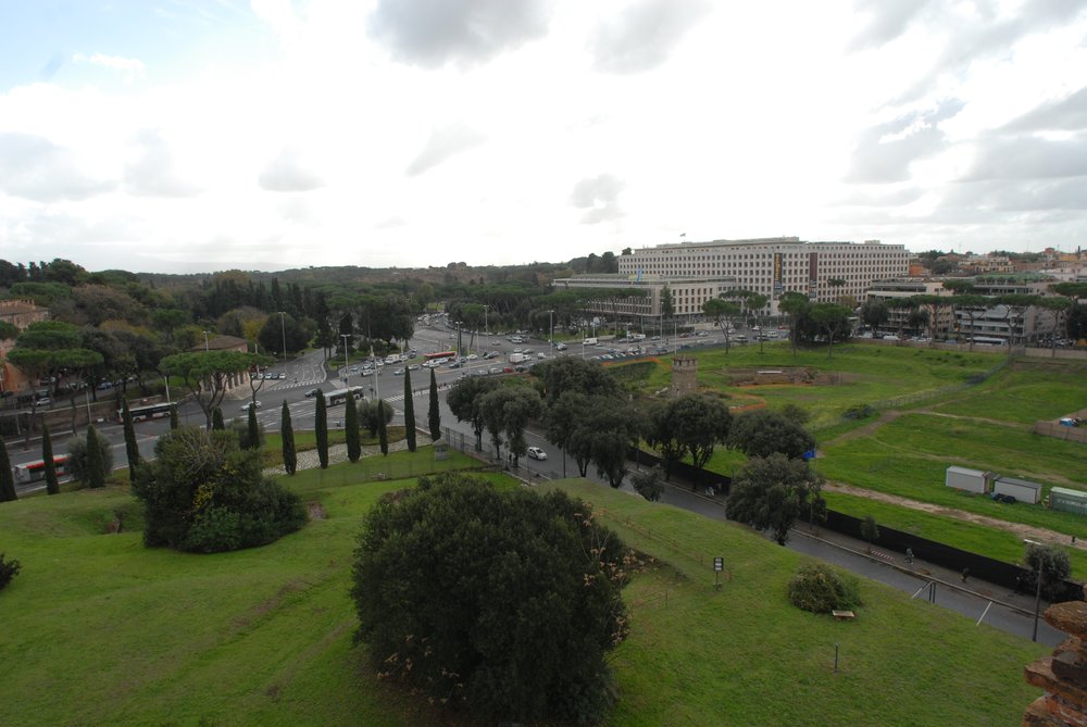 DSC_0110.JPG