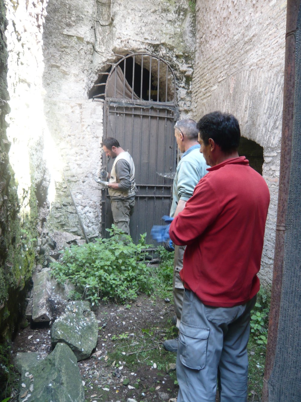 P1050984.JPG