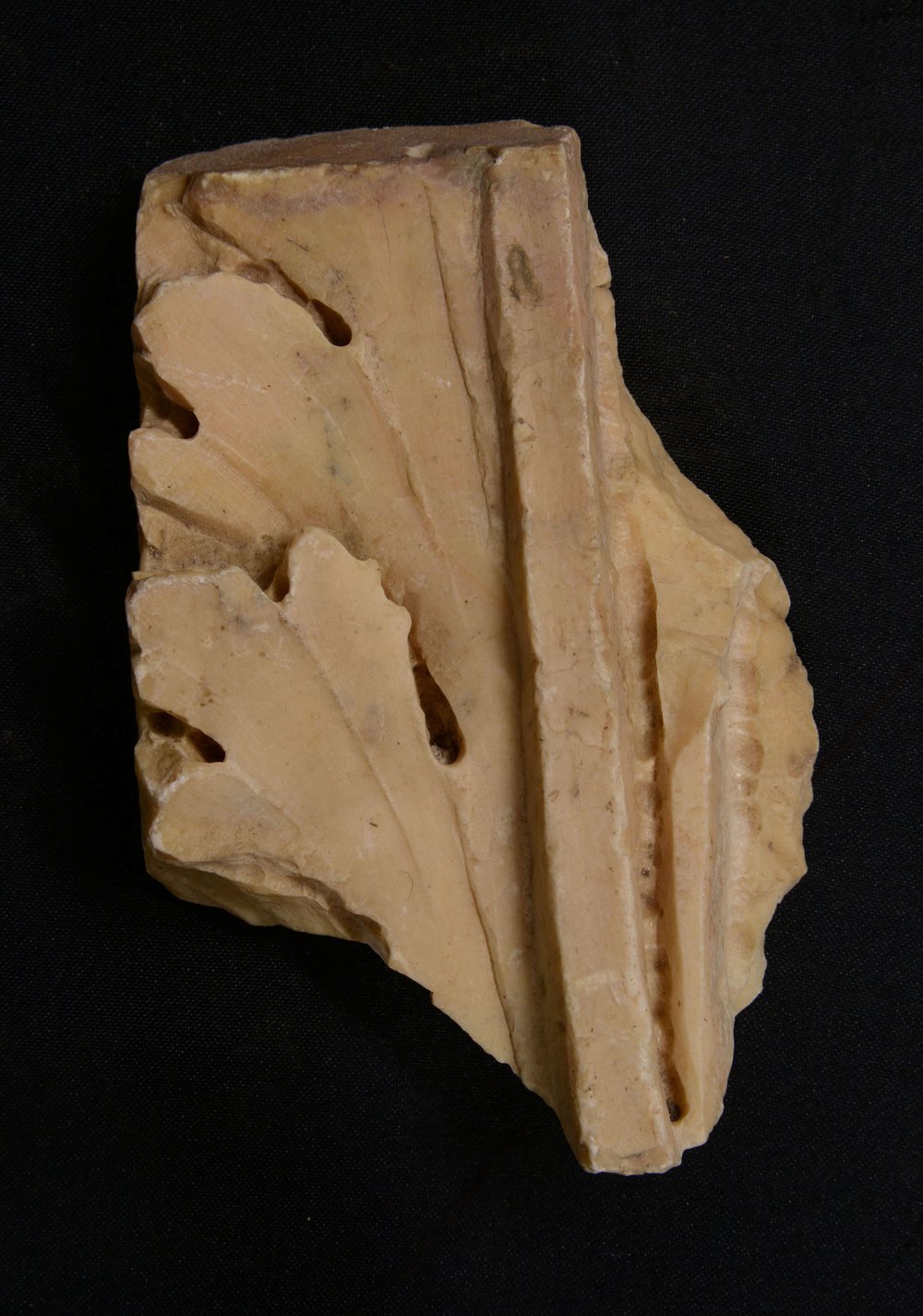 Inv. 379571.jpg