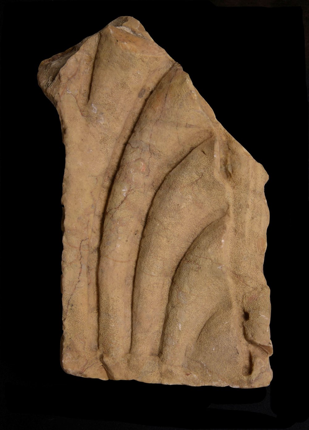 Inv 381790.jpg