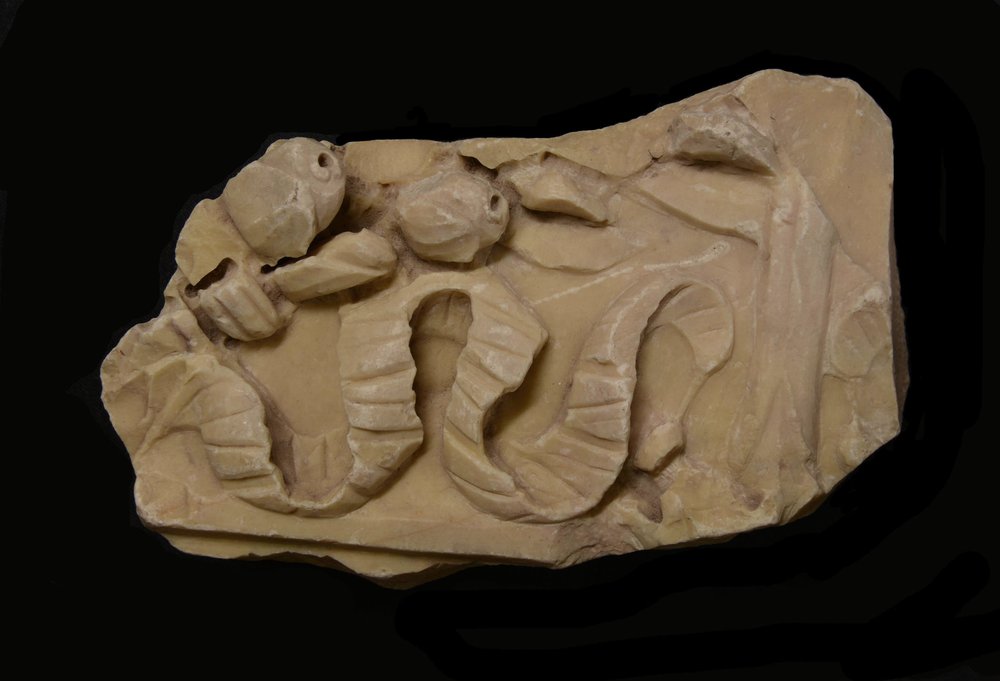 Inv11460.jpg
