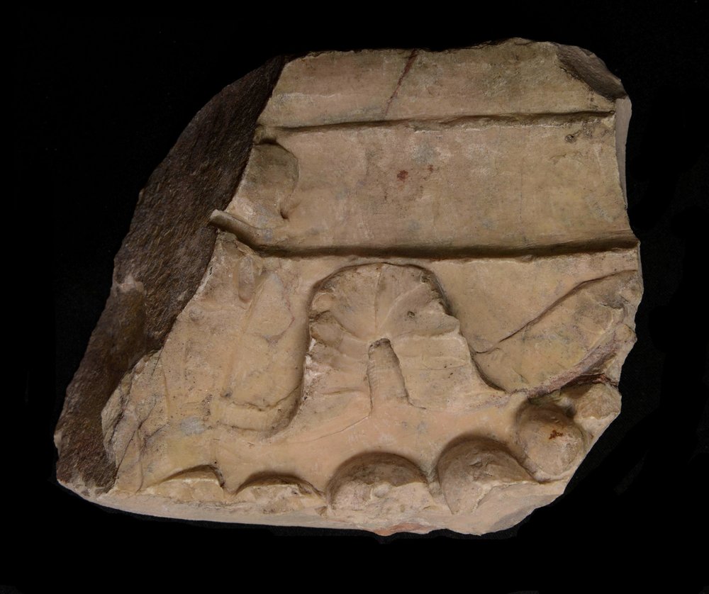 In v52822-3.jpg