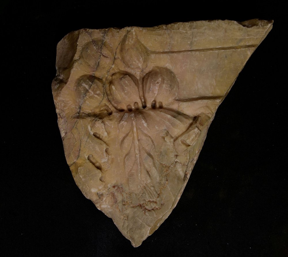 Inv5282214.jpg