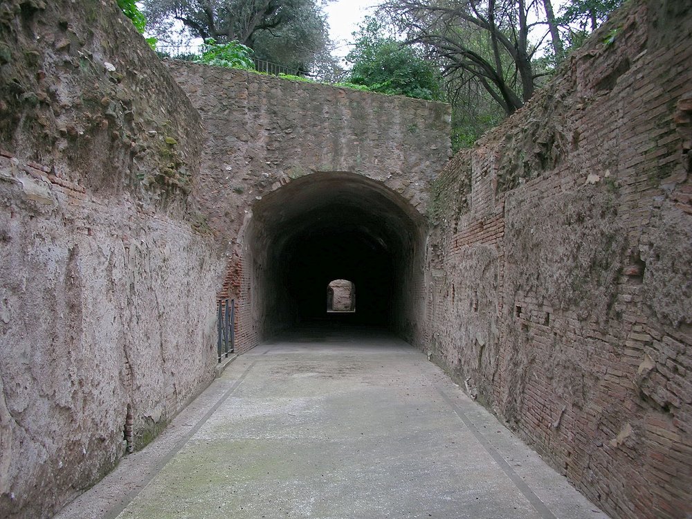 DSCN0597.JPG