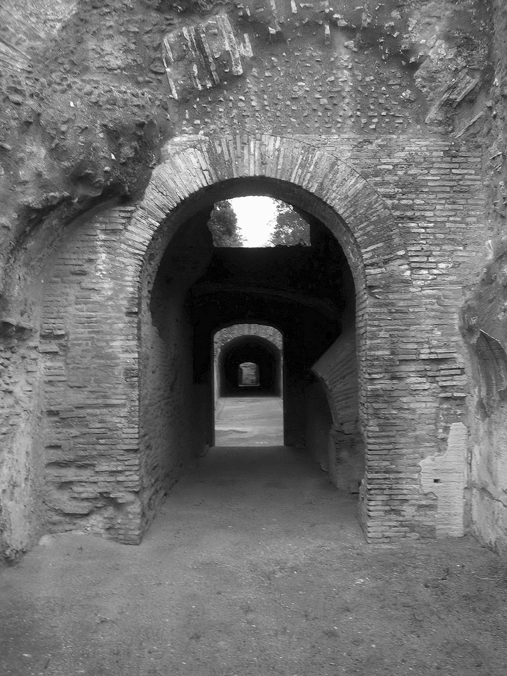 DSCN0596.JPG