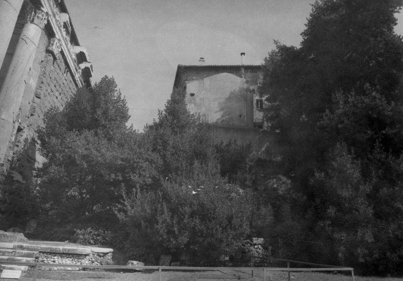 019921 - monumento - Tempio di Antonino e Faustina, zona lastricata sul fronte orientale; neg. serie 6x9, n. 2898