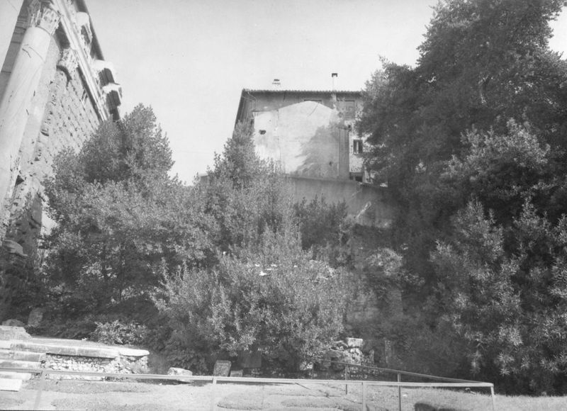 019922 - monumento - Tempio di Antonino e Faustina, zona lastricata sul fronte orientale; neg. serie 6x9, n. 2899