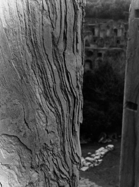 019925 - restauro - Tempio di Antonino e Faustina, stato di conservazione di una colonna di cipollino (1979/1980)