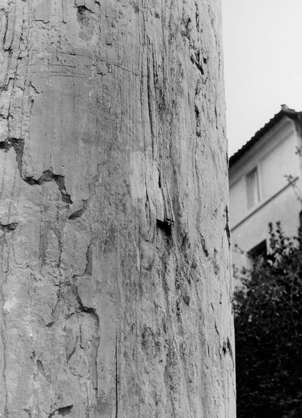 019934 - monumento - Tempio di Antonino e Faustina, particolare di una colonna dell'angolo orientale. In secondo piano la chiesa dei S.S. Cosma e Damiano (10.03.1993); neg. serie 6x6, n. 19335