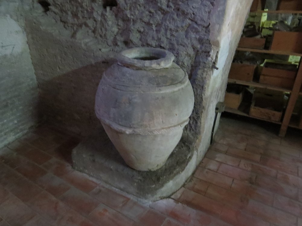 Prov. Ignota (11).jpg