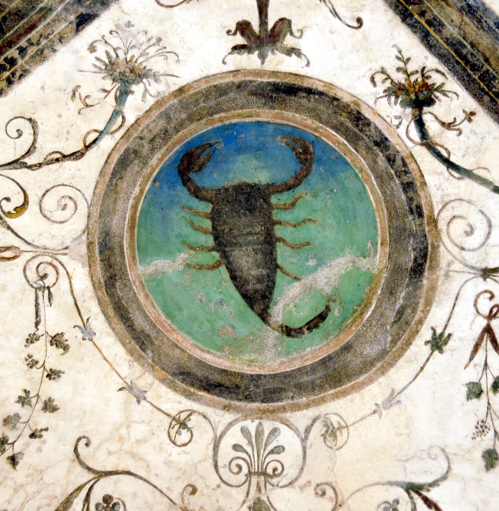 Scorpione.JPG