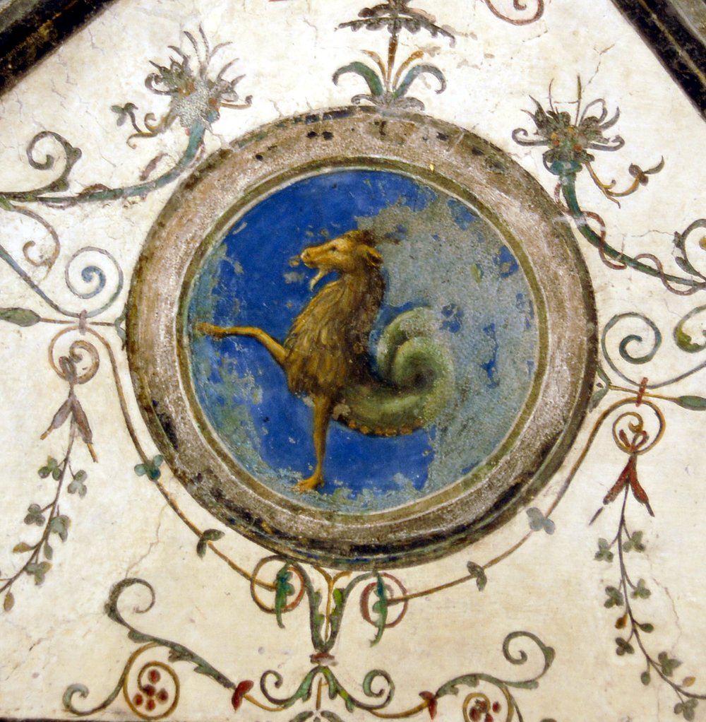 Capricorno.JPG