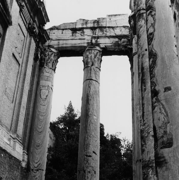 019957 - monumento - Tempio di Antonino e Faustina, lato interno del fianco orientale del colonnato (02.09.1994); neg. serie 6x6, img. n. 23155
